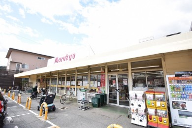 まるきゅう ccc2b8e7173cde6d635a5059a87a8338